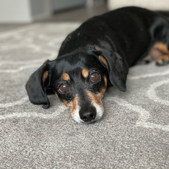 ✨BACKUP LISTING! 🎏LIKE FOR LIVE SHOWS NOTIFICATIONS!✨ - Picture 9 of 13